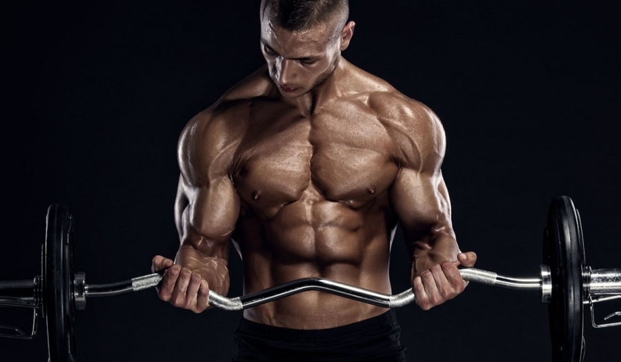 10 Erros no Treino de Bíceps na Musculação (veja como evitar