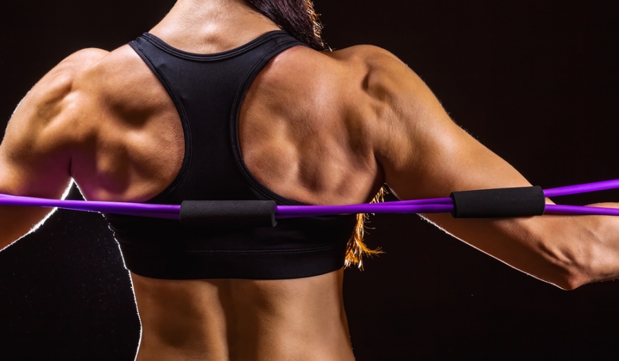 5 SUGESTÕES DE EXERCÍCIOS COM ELÁSTICOS