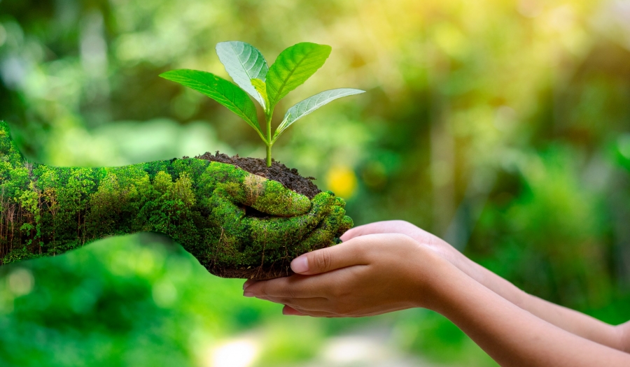 5 de Junho - Dia Mundial do Meio Ambiente
