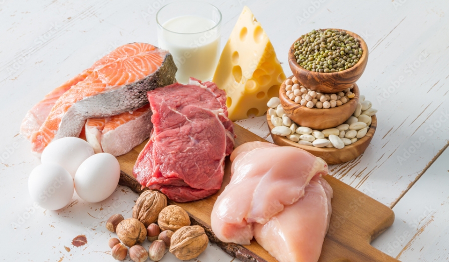 10 motivos para comer mais proteína no dia a dia