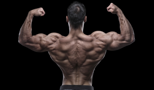 10 benefícios da musculação que você não conhecia (ou ignorava)