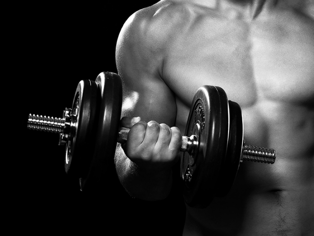 EXERCÍCIOS RESISTIDOS