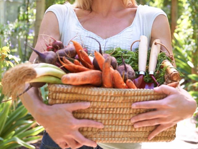 É verdade que comida vegetariana é saudável e não engorda?