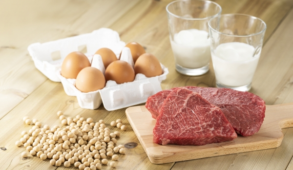 Alimentos proteicos: veja aqui uma lista completa deles