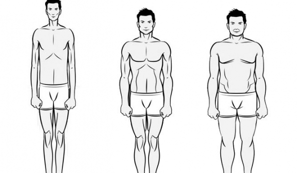Biotipo corporal – Ectomorfo, endomorfo e mesomorfo