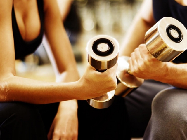 Janela De Adaptação: A Janela Para A Evolução