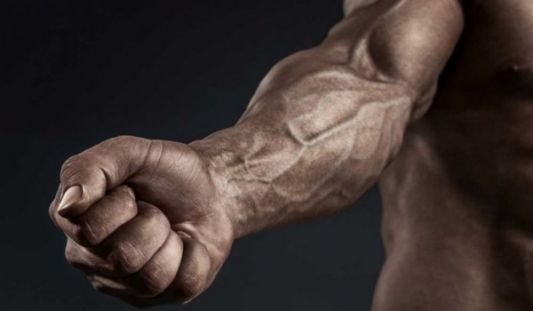 Exercícios para Antebraços: 7 exercícios para dar um Up nos Antebraços (hipertrofia)