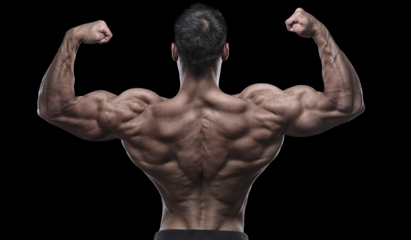 Frequência, volume e intensidade em hipertrofia muscular